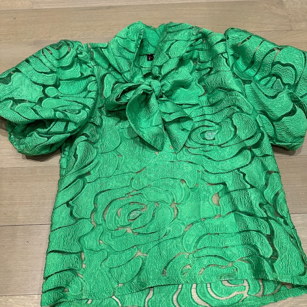 Beautiful stylish green blouse